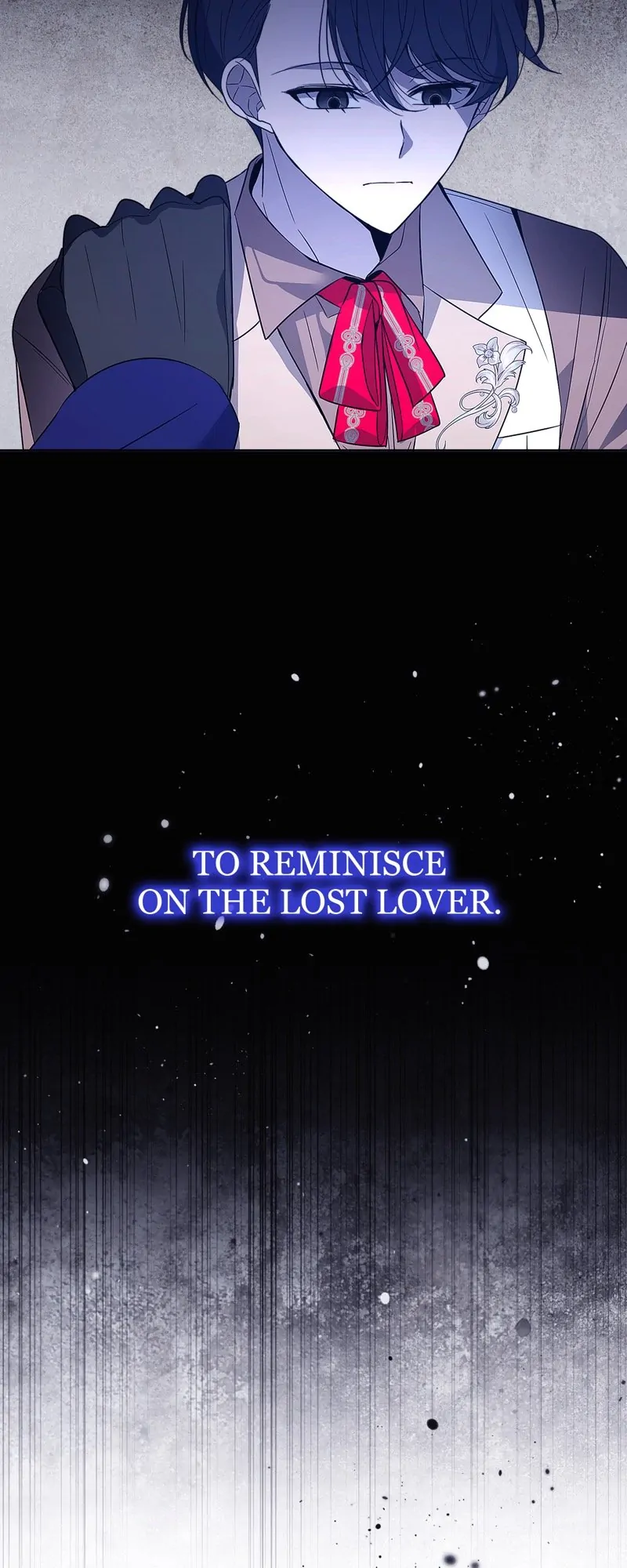 46529497 800 2000 120084