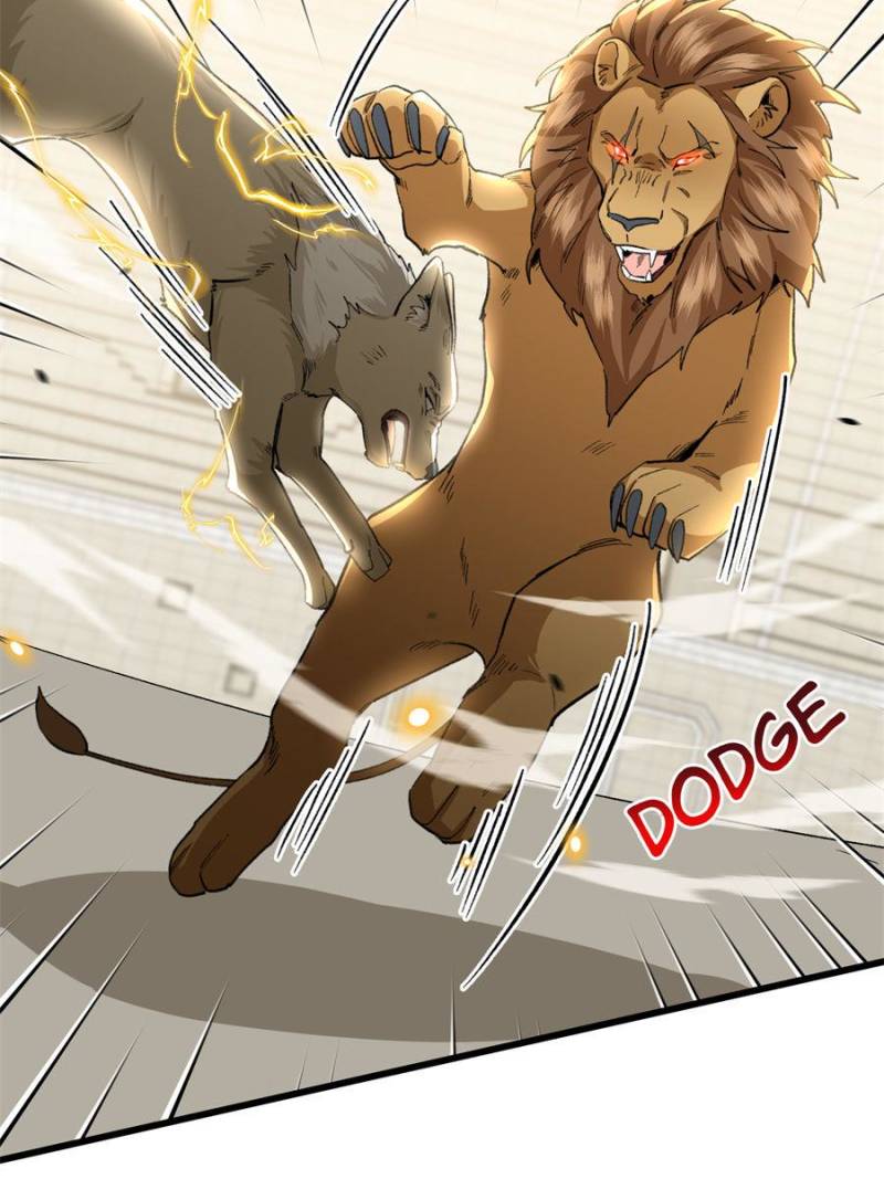 81494768 800 1067 96974